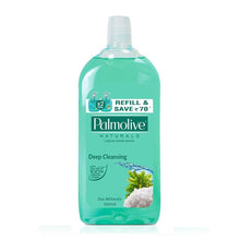 Load image into Gallery viewer, Hand Wash Palmolive Naturals Liquid  (Refill Pack)  500 ml.
